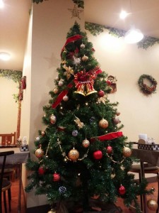 IMG_20151110_190830.jpg